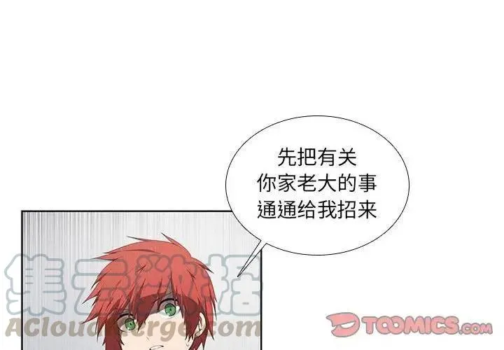 31 第4页