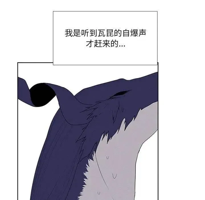 31 第35页