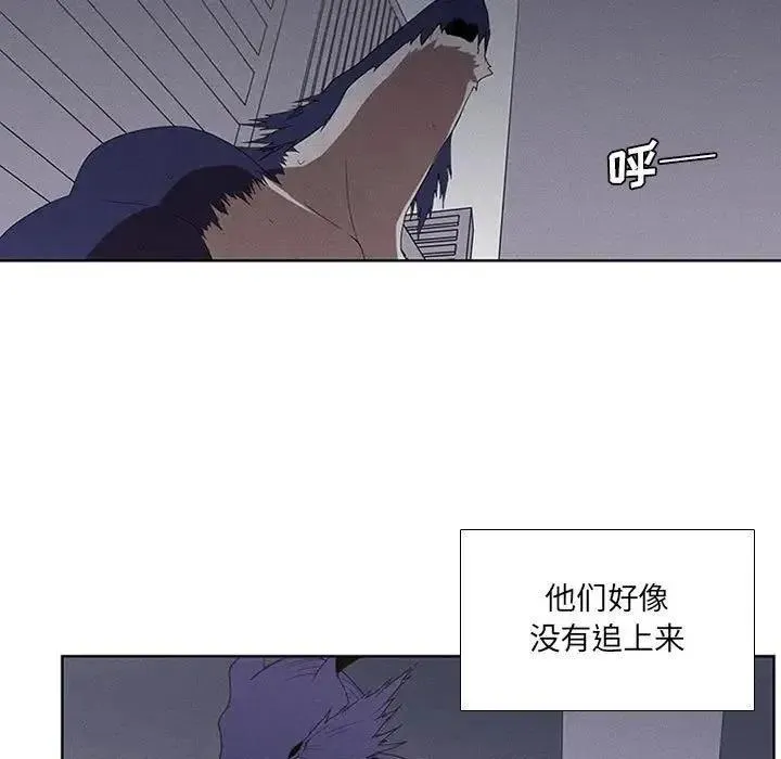 32 第41页