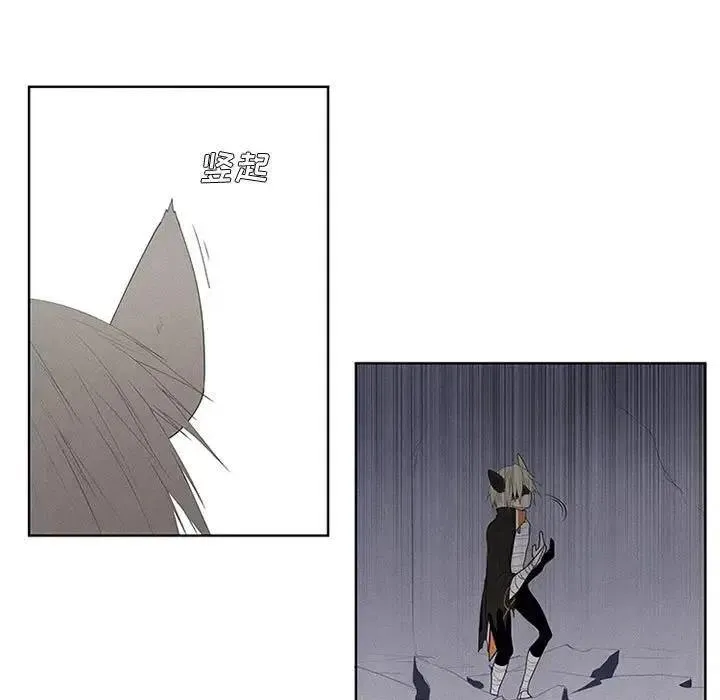 39 第41页