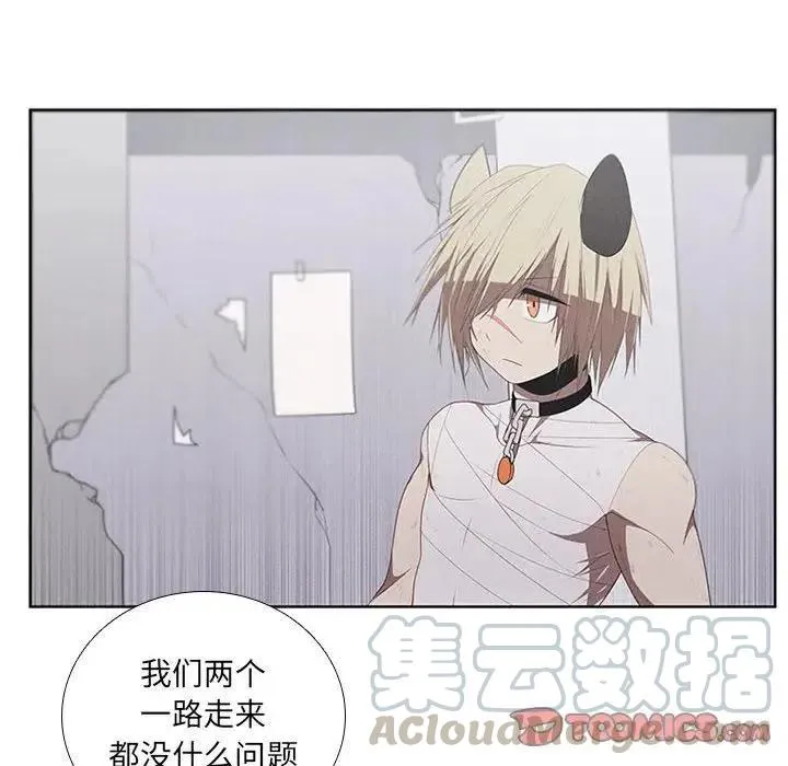 40 第46页