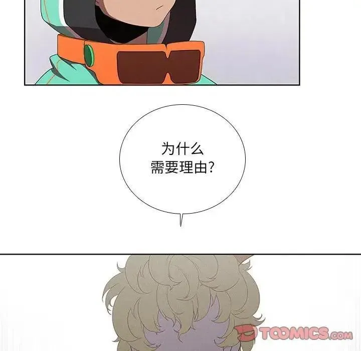 41 第6页