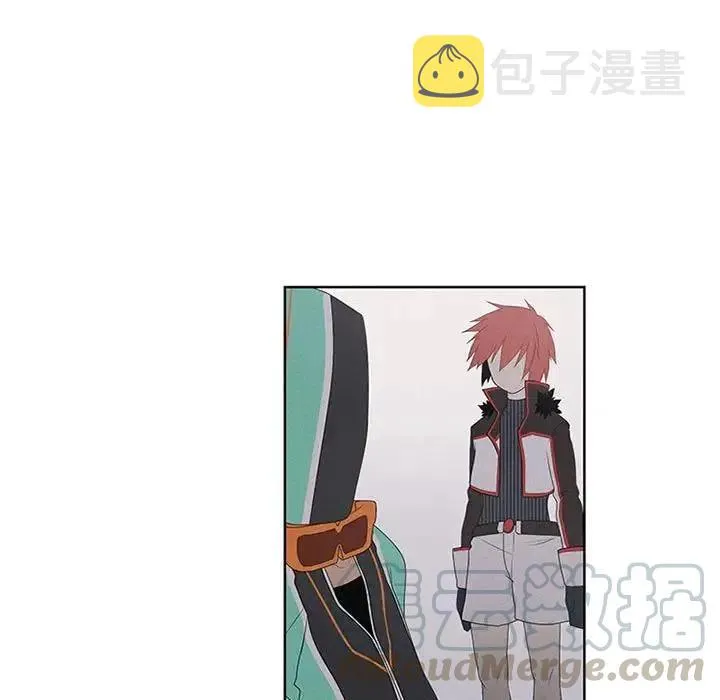 41 第13页