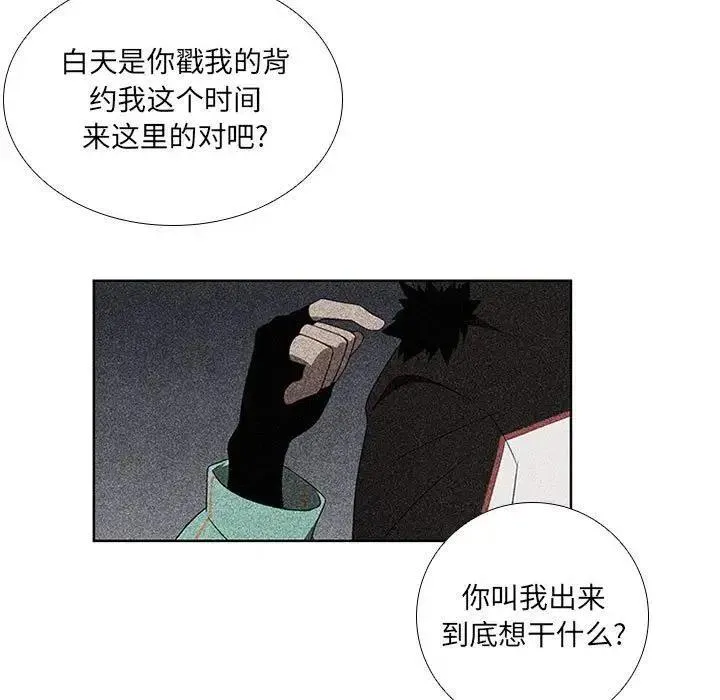 41 第41页