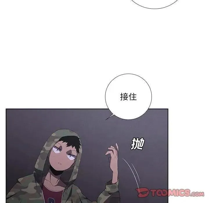 41 第42页