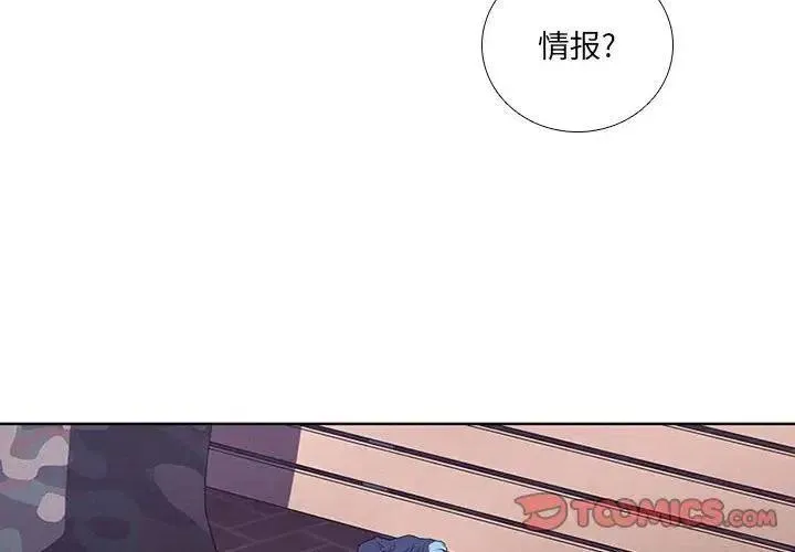 43 第2页