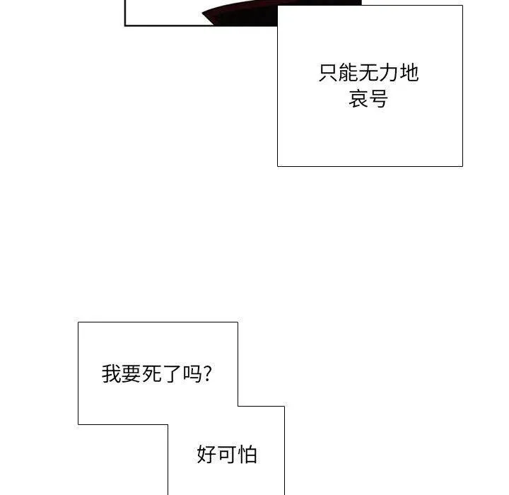 50 第23页