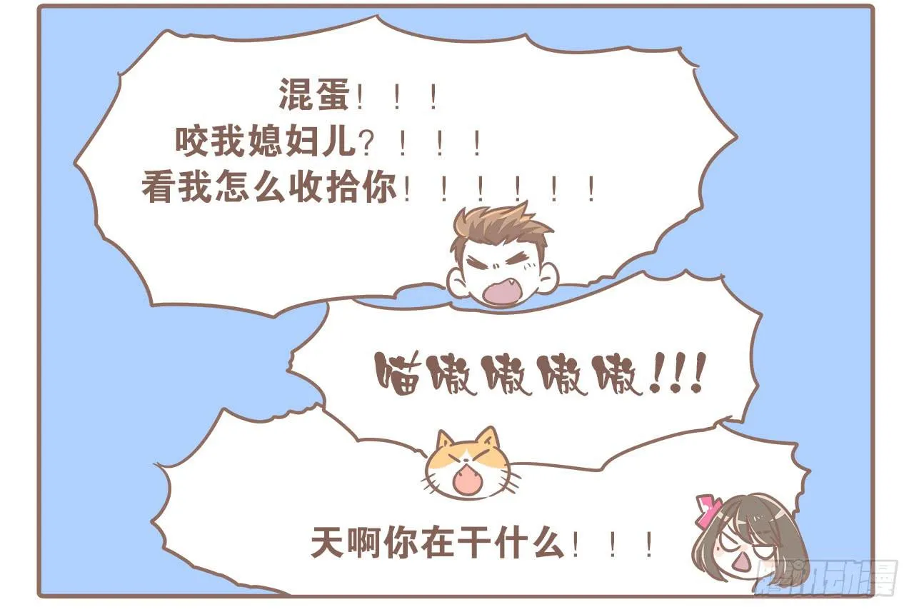 领养了一只猫，叫督尼 第2页