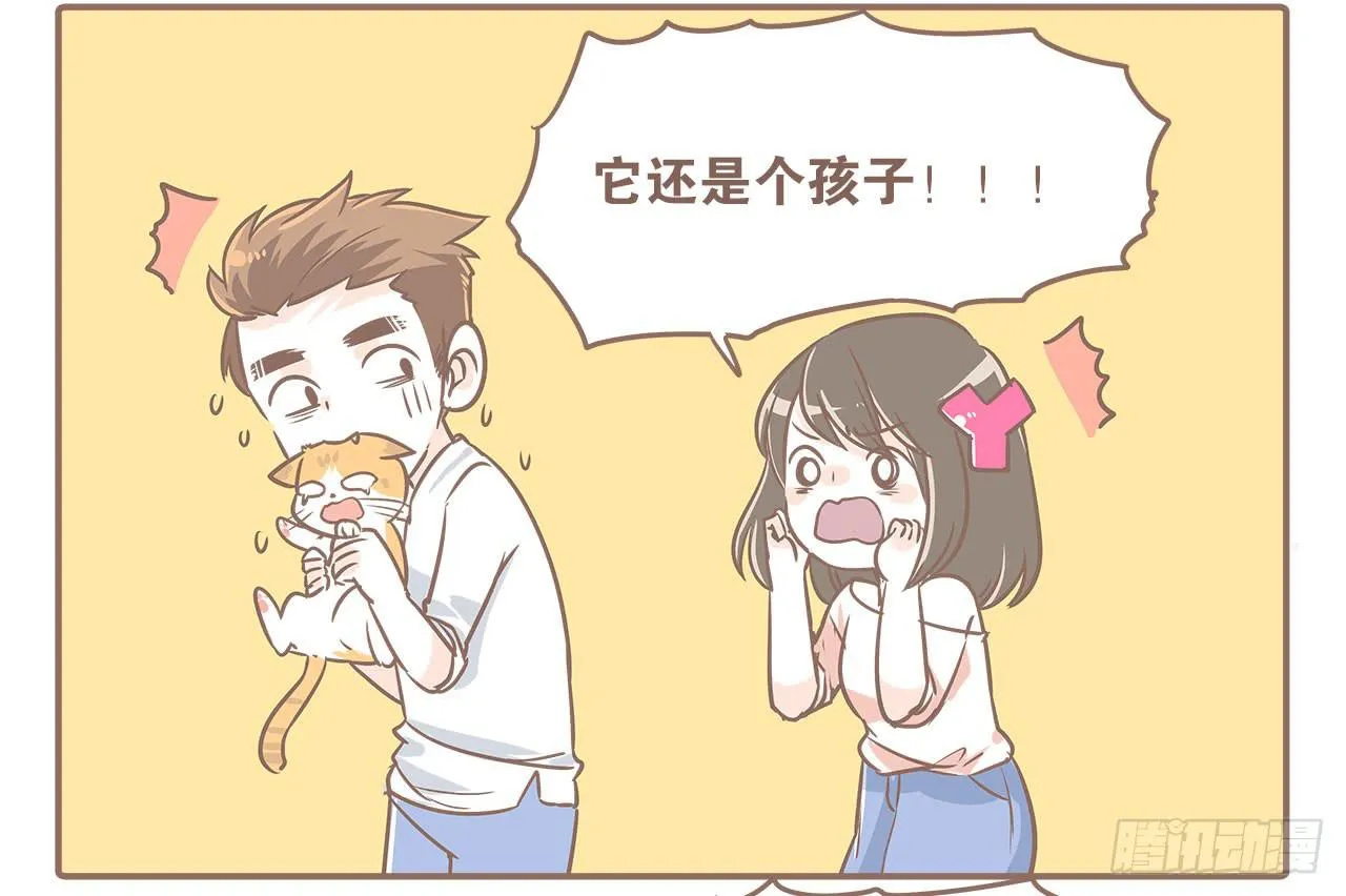 领养了一只猫，叫督尼 第3页