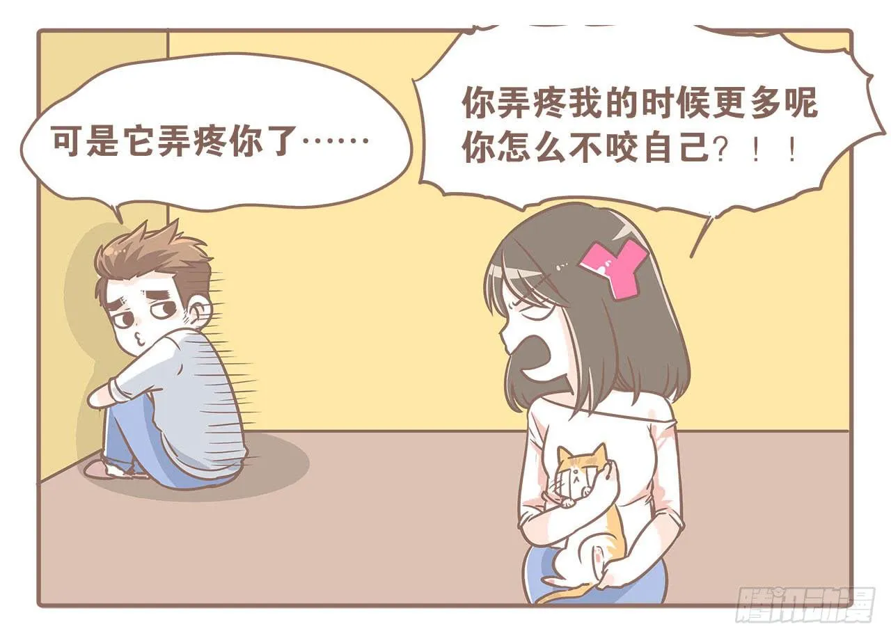 领养了一只猫，叫督尼 第4页