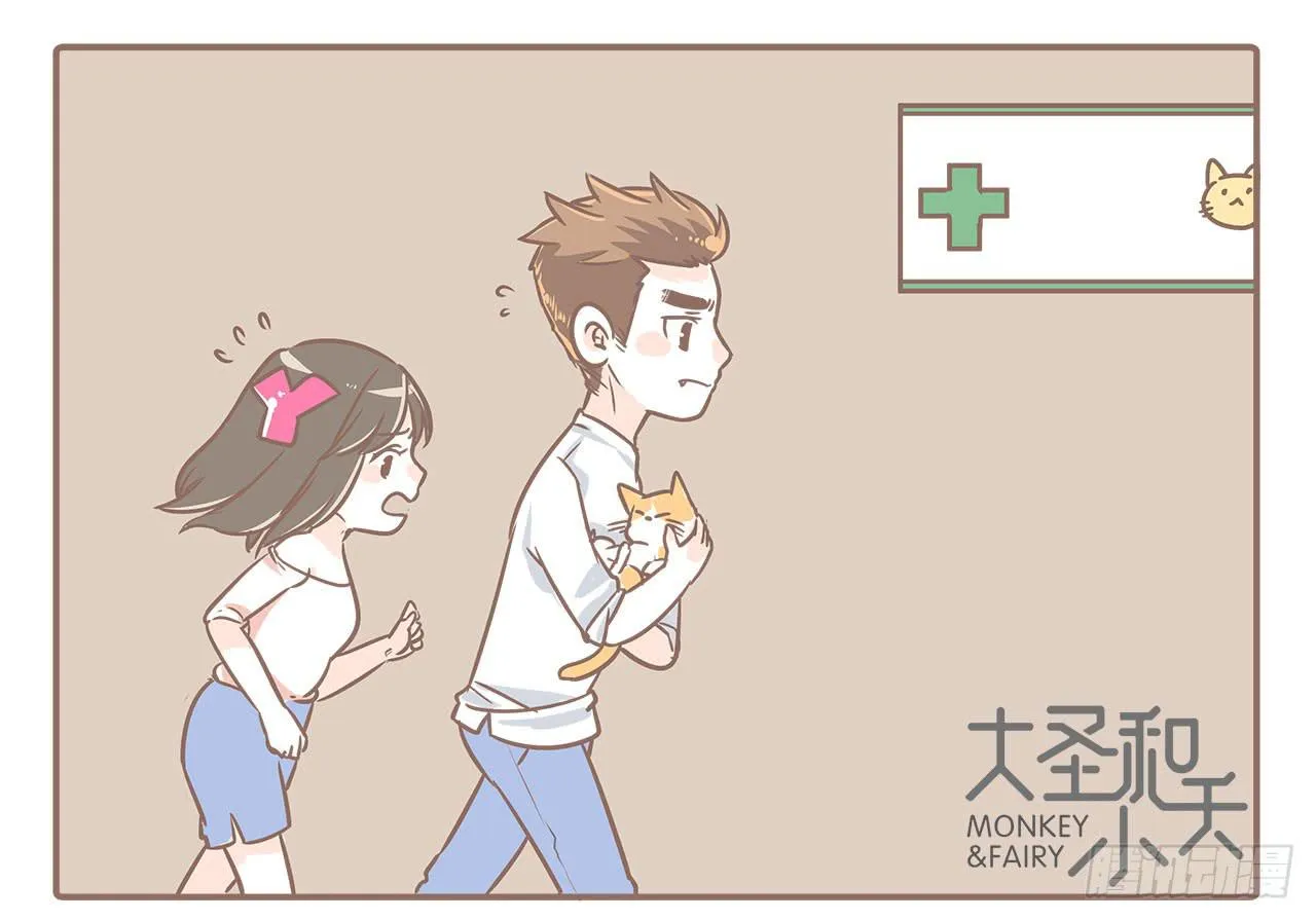 领养了一只猫，叫督尼 第5页