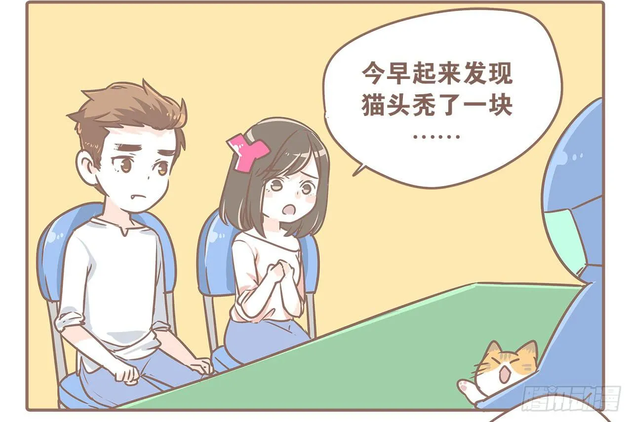 领养了一只猫，叫督尼 第6页
