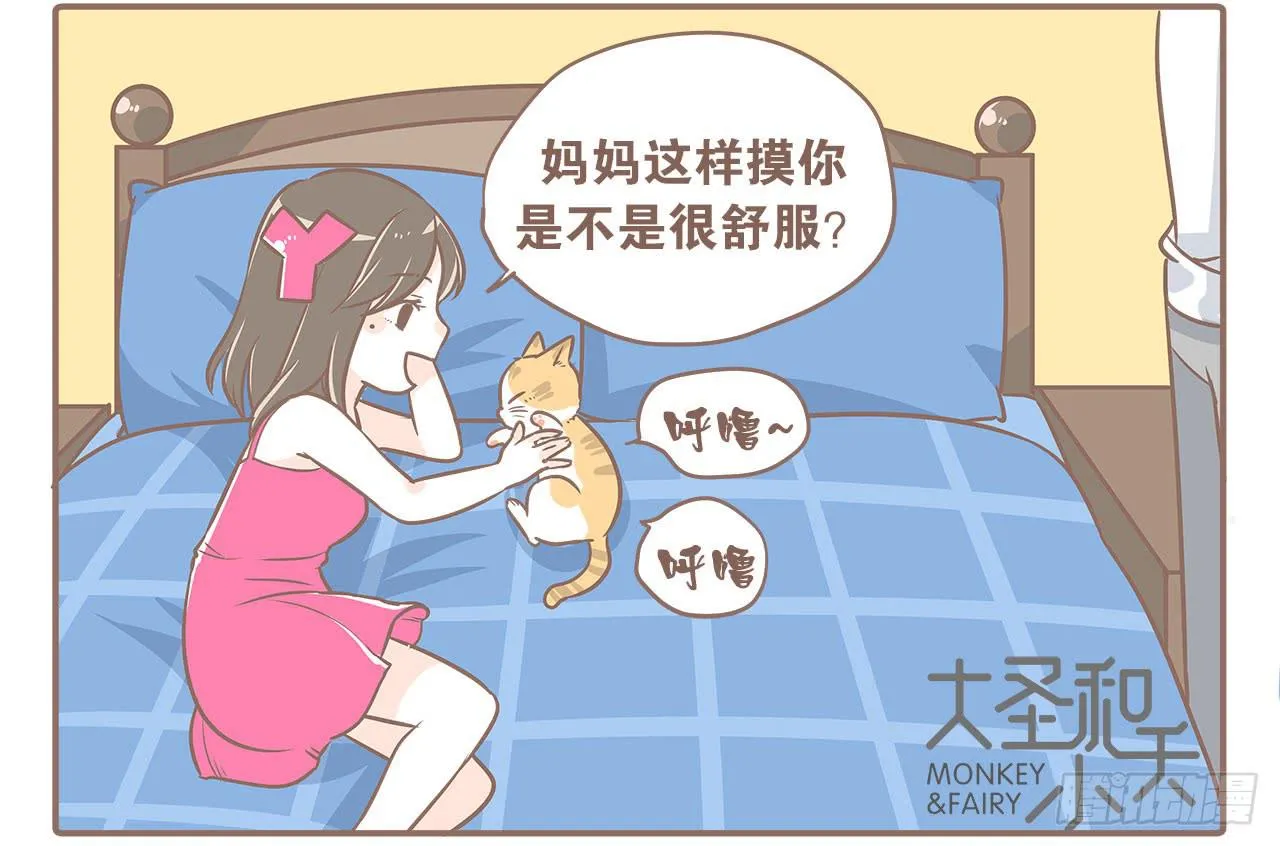 领养了一只猫，叫督尼 第11页
