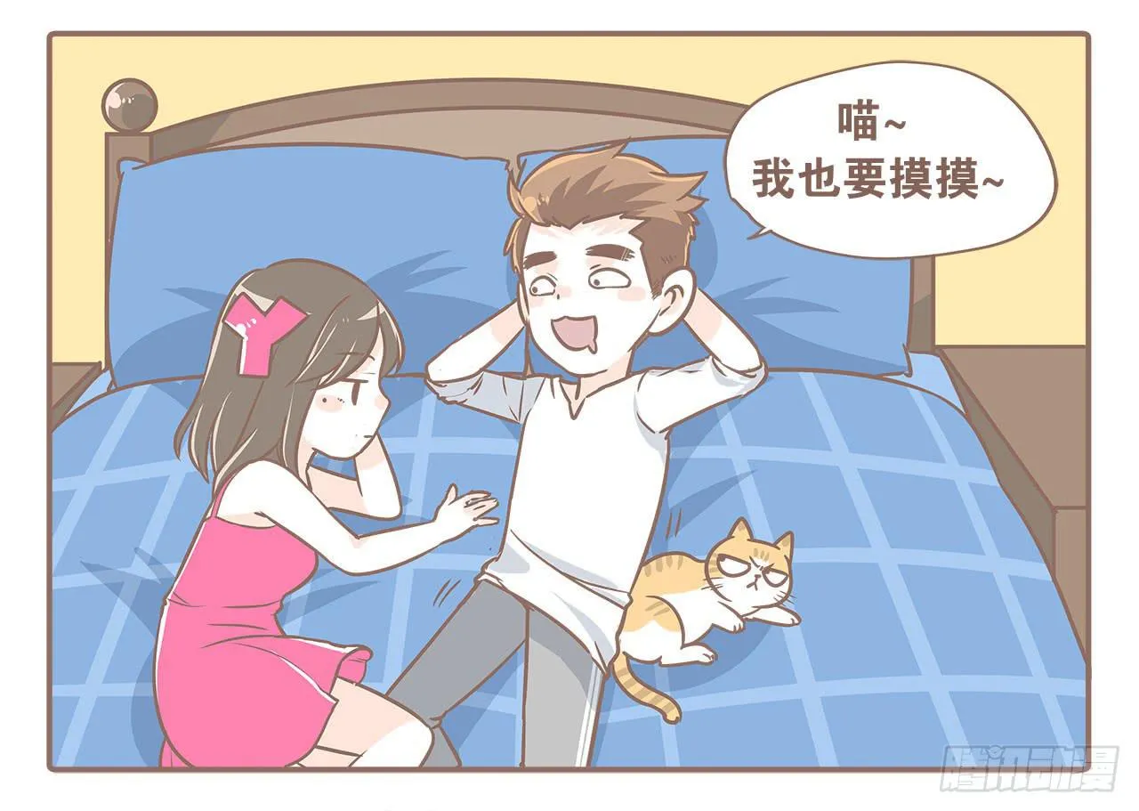 领养了一只猫，叫督尼 第12页