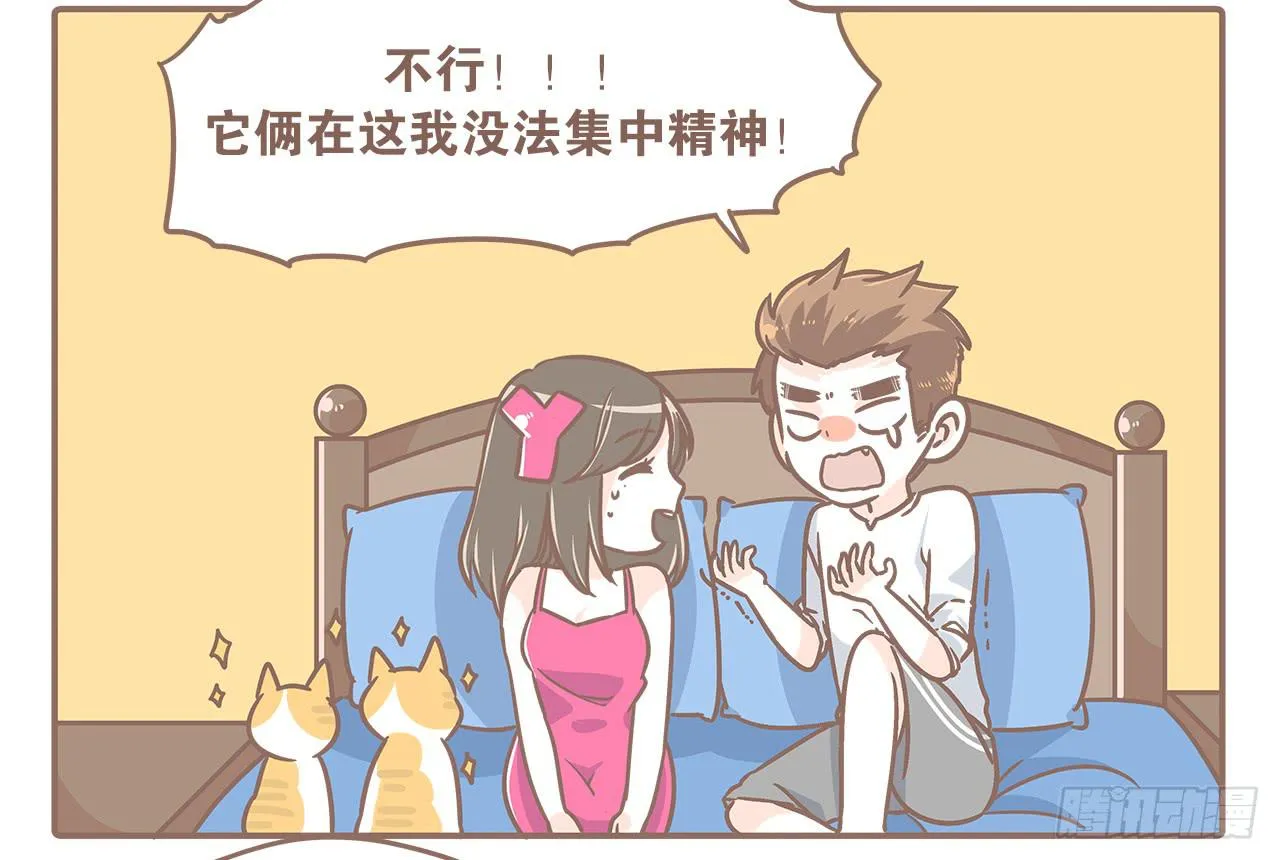 都不省心 第11页