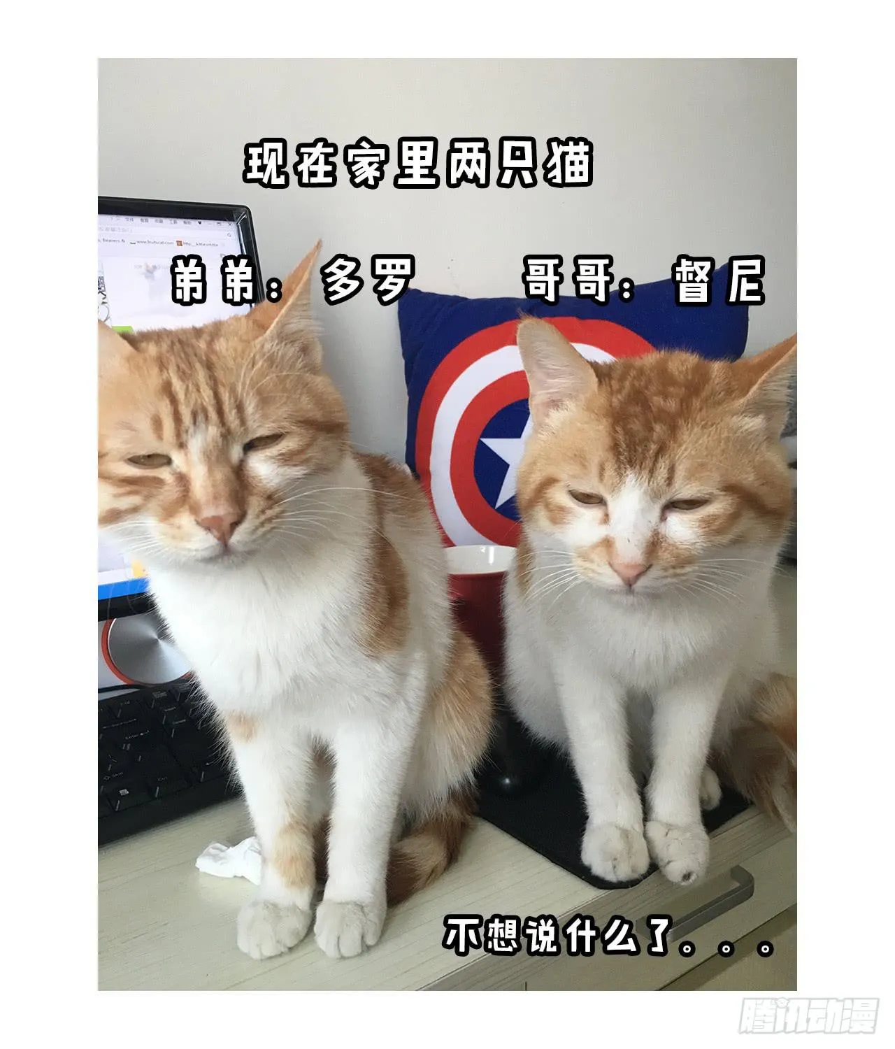 都不省心 第13页