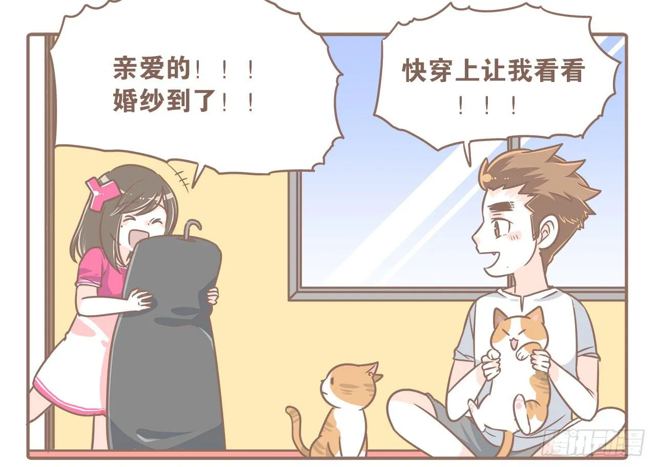 此处不能有猫 第1页