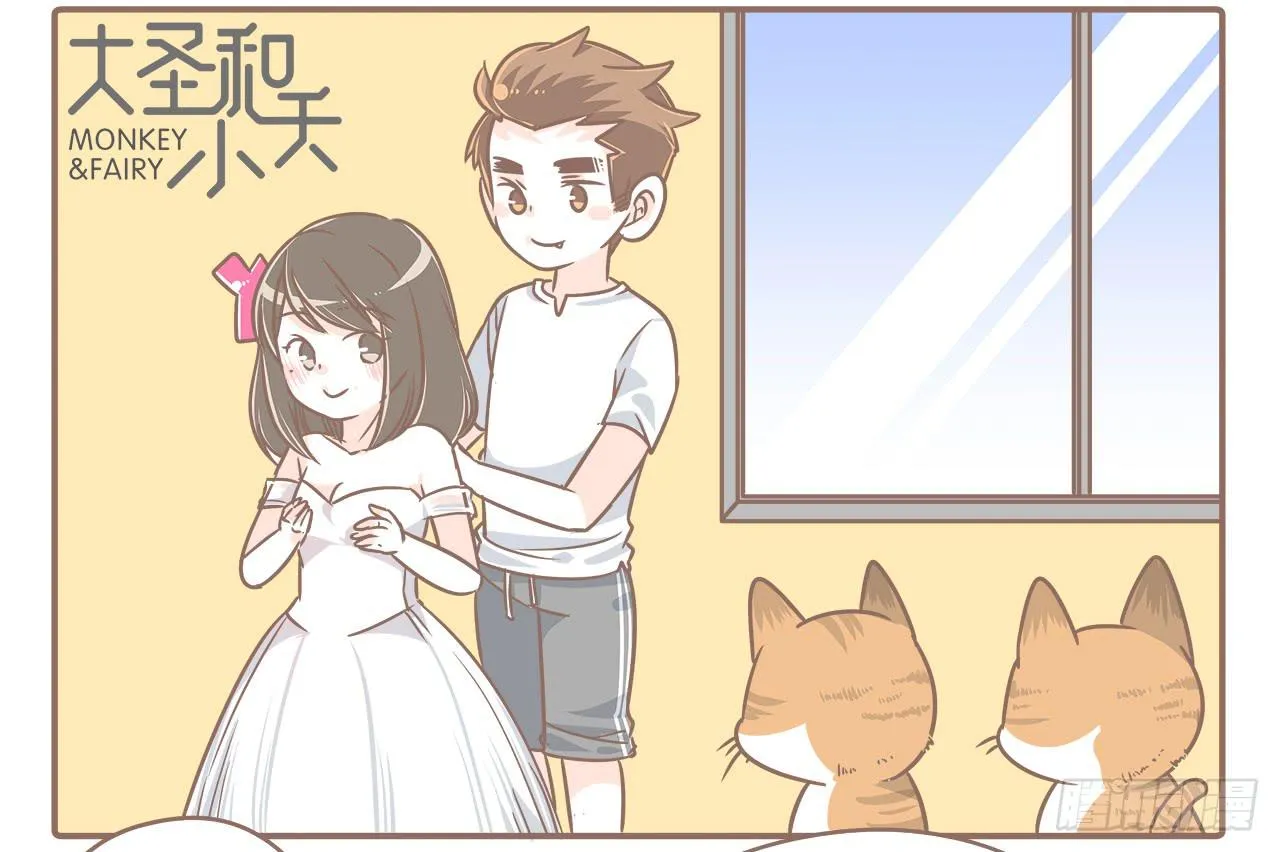 此处不能有猫 第2页
