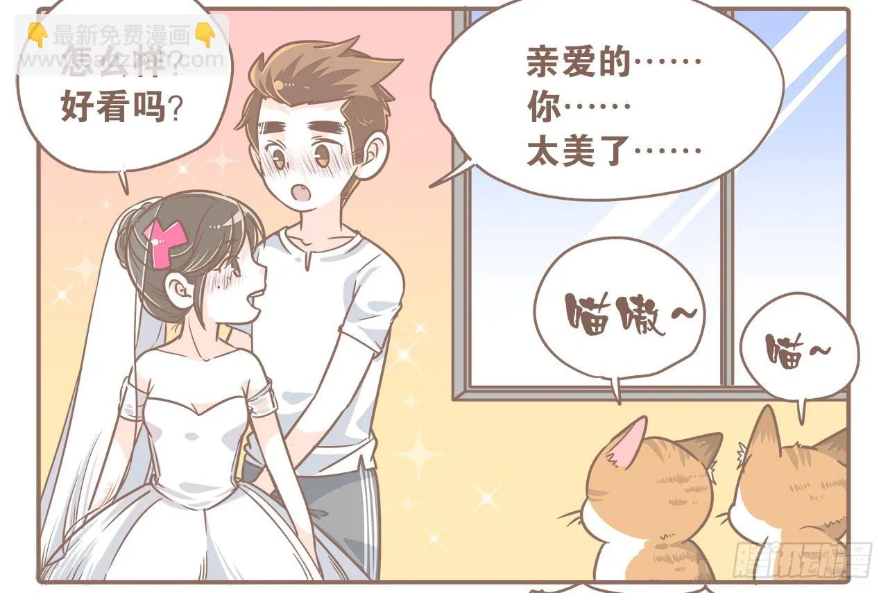 此处不能有猫 第3页