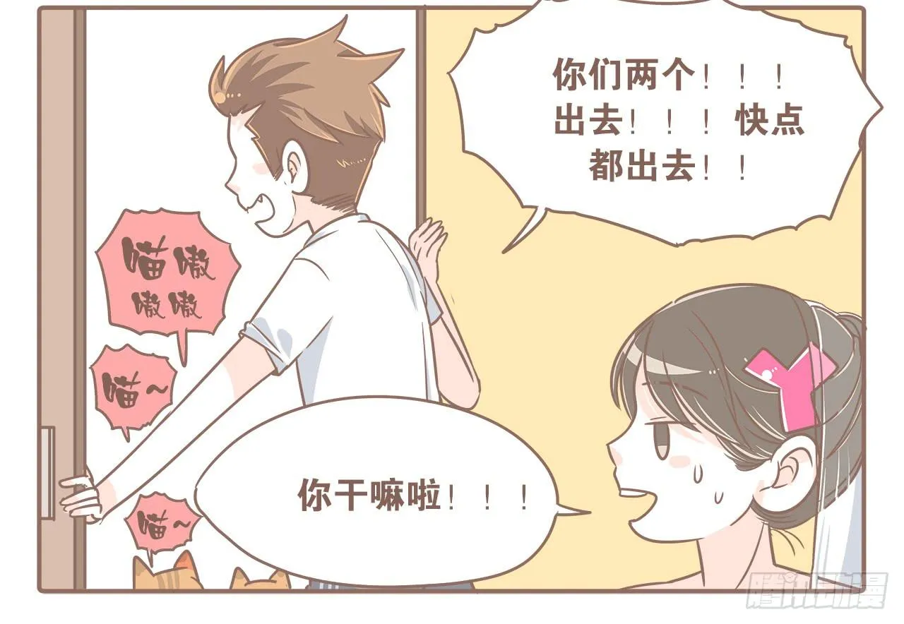 此处不能有猫 第4页