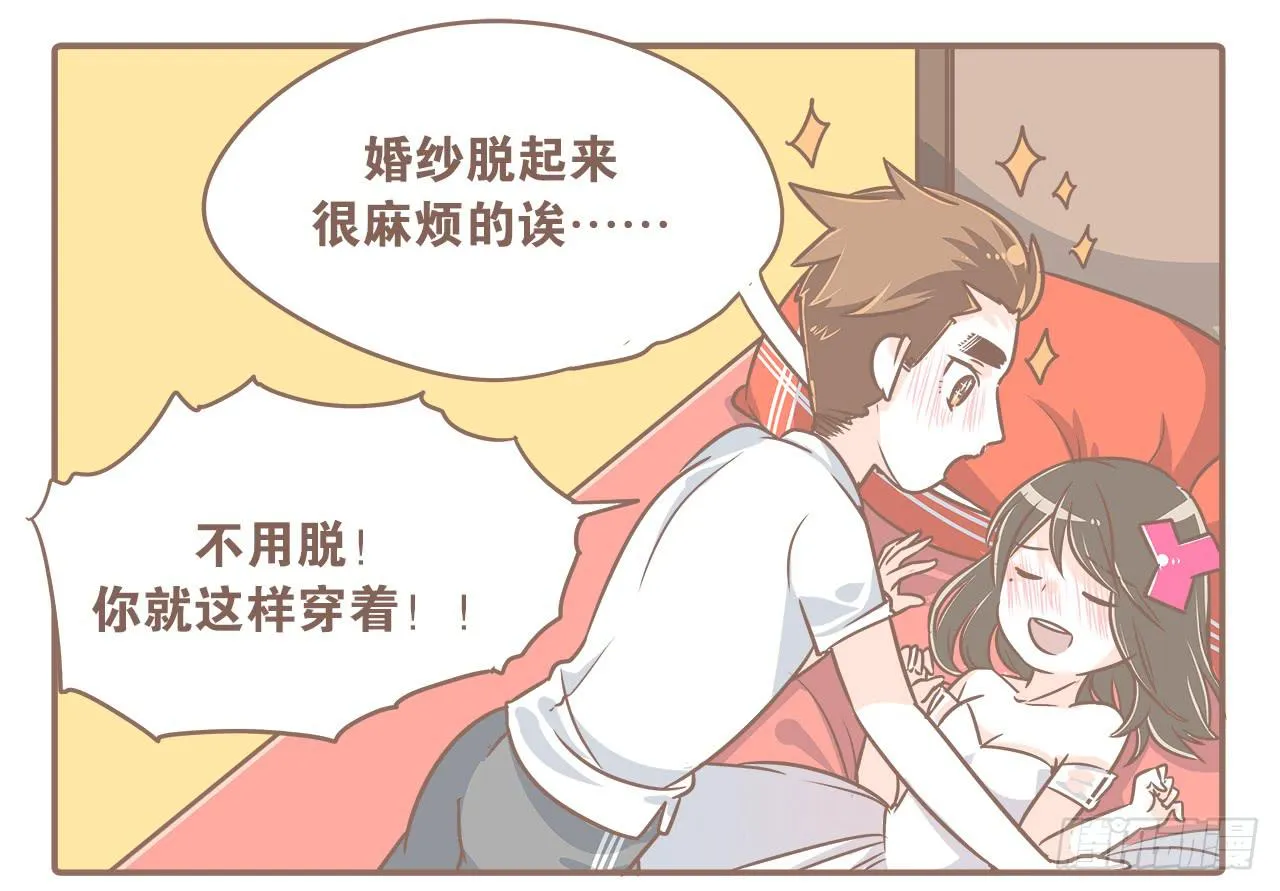 此处不能有猫 第5页