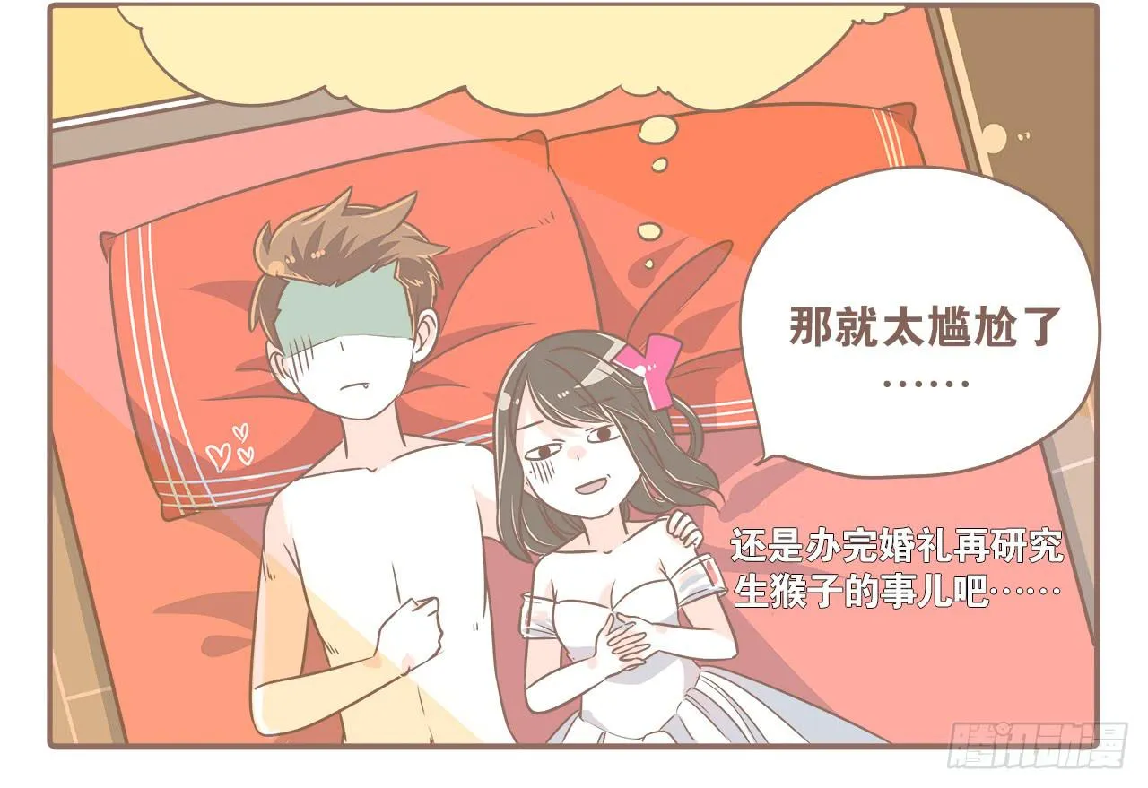 此处不能有猫 第10页
