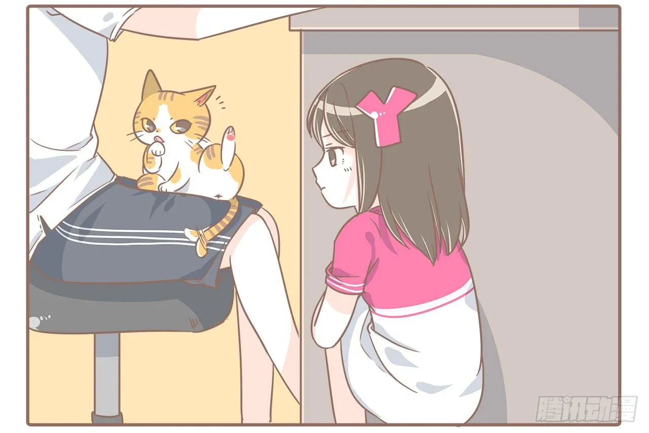 猫的内心是崩溃的 第6页