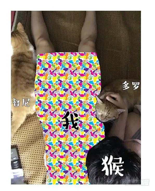一只粘人的大猴子 第6页