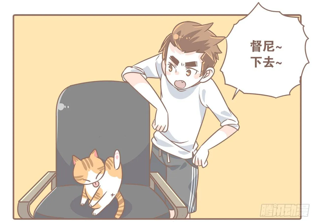 猫奴的生活 第1页