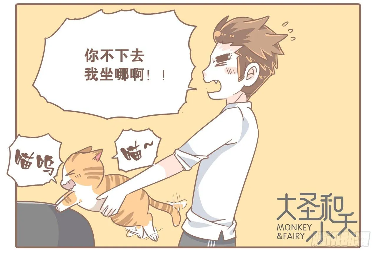 猫奴的生活 第2页