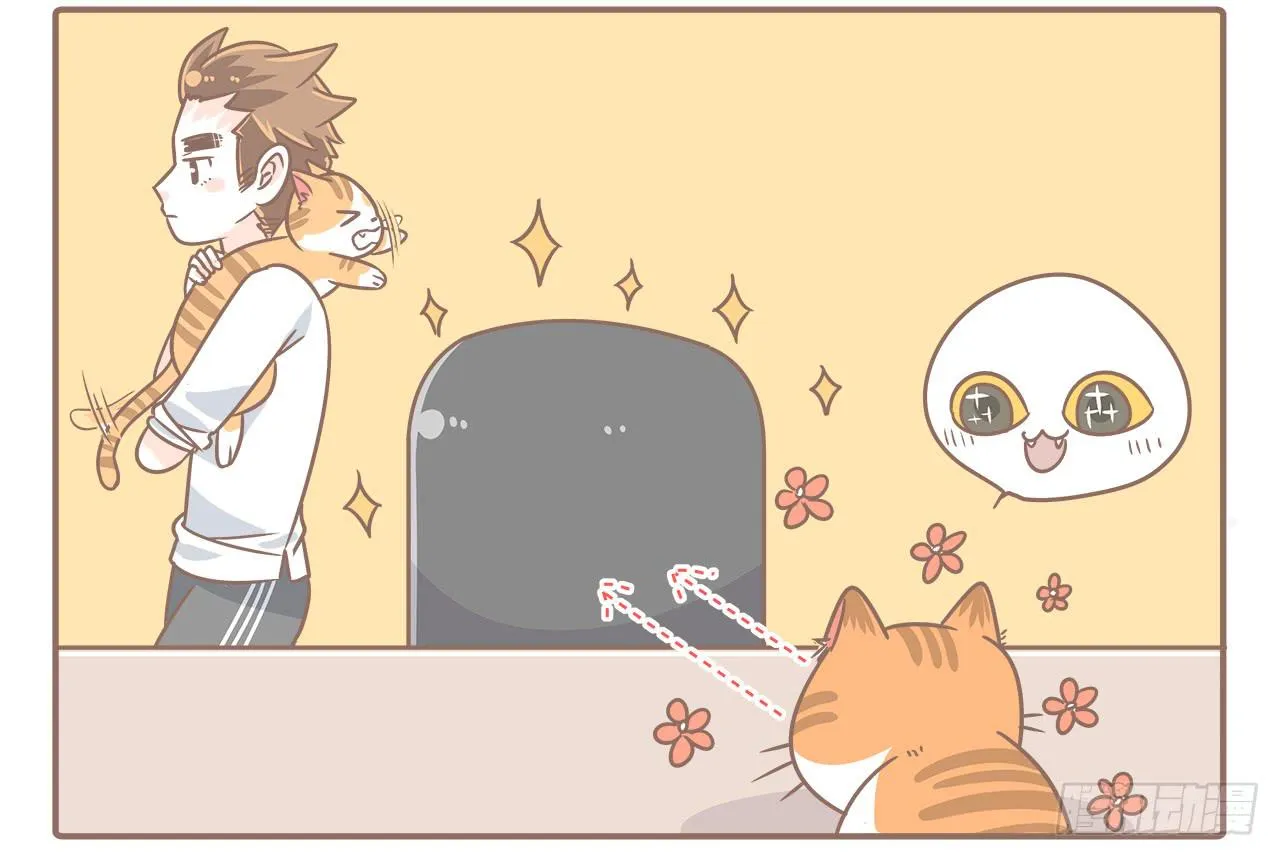 猫奴的生活 第3页