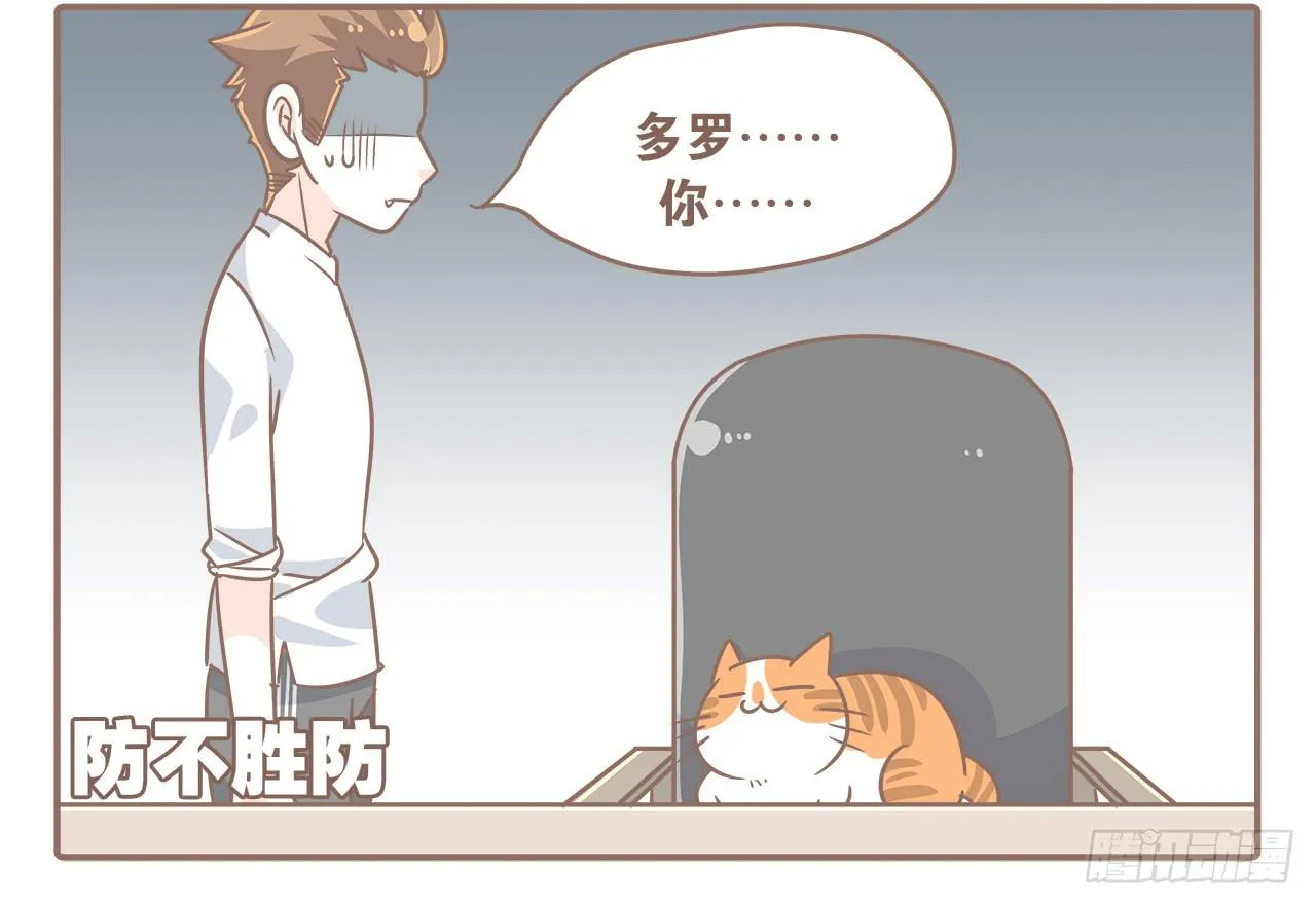 猫奴的生活 第4页