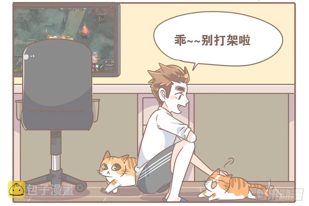 猫奴的生活 第6页