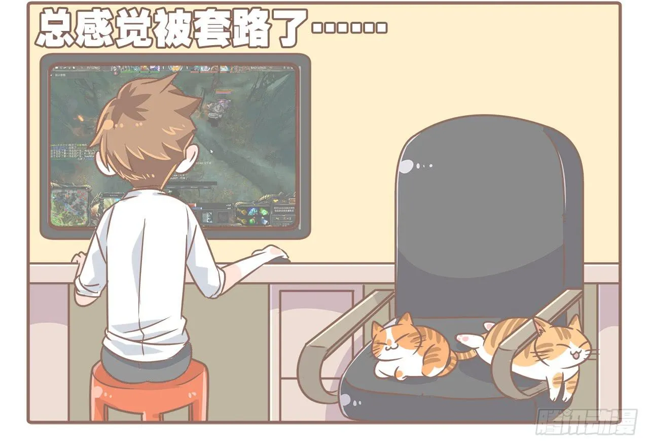 猫奴的生活 第8页