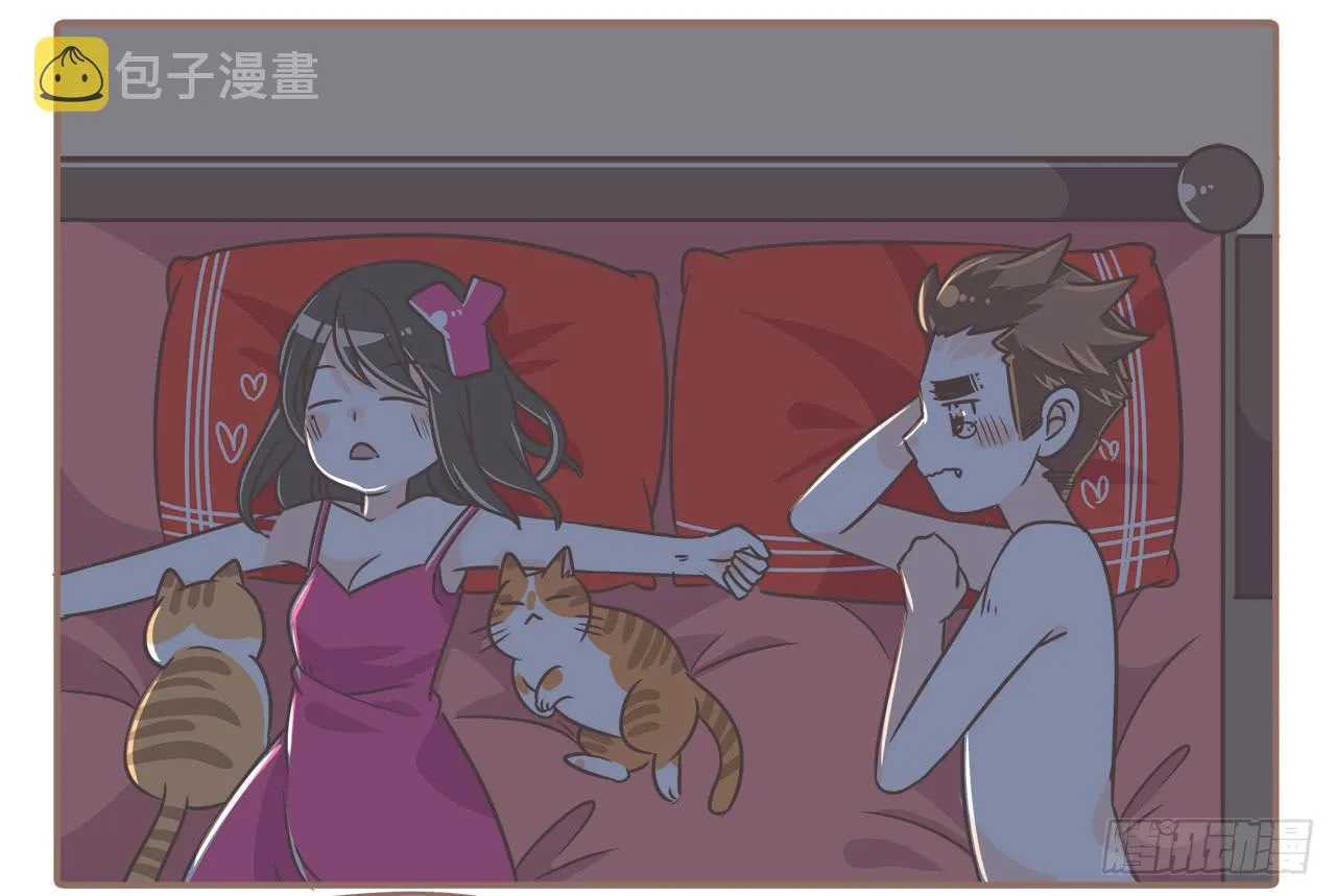 猫奴的生活 第9页