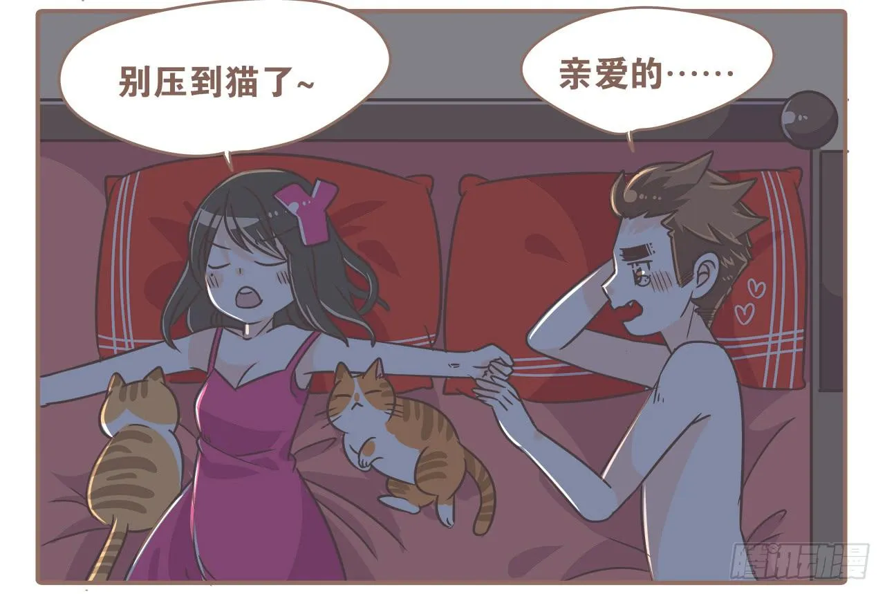 猫奴的生活 第10页