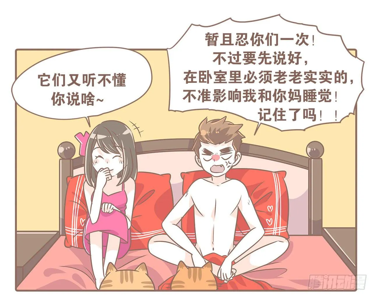 猫奴的生活 第12页