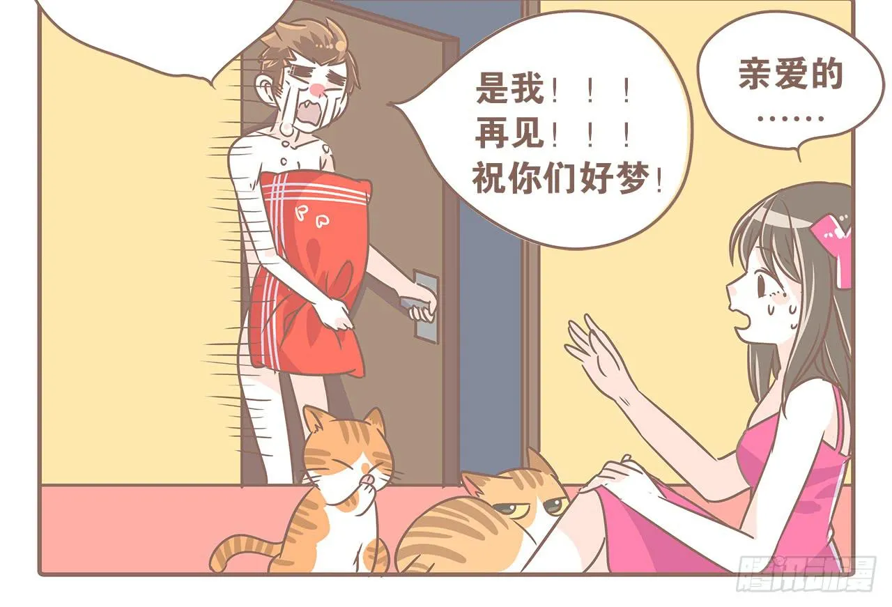 猫奴的生活 第14页