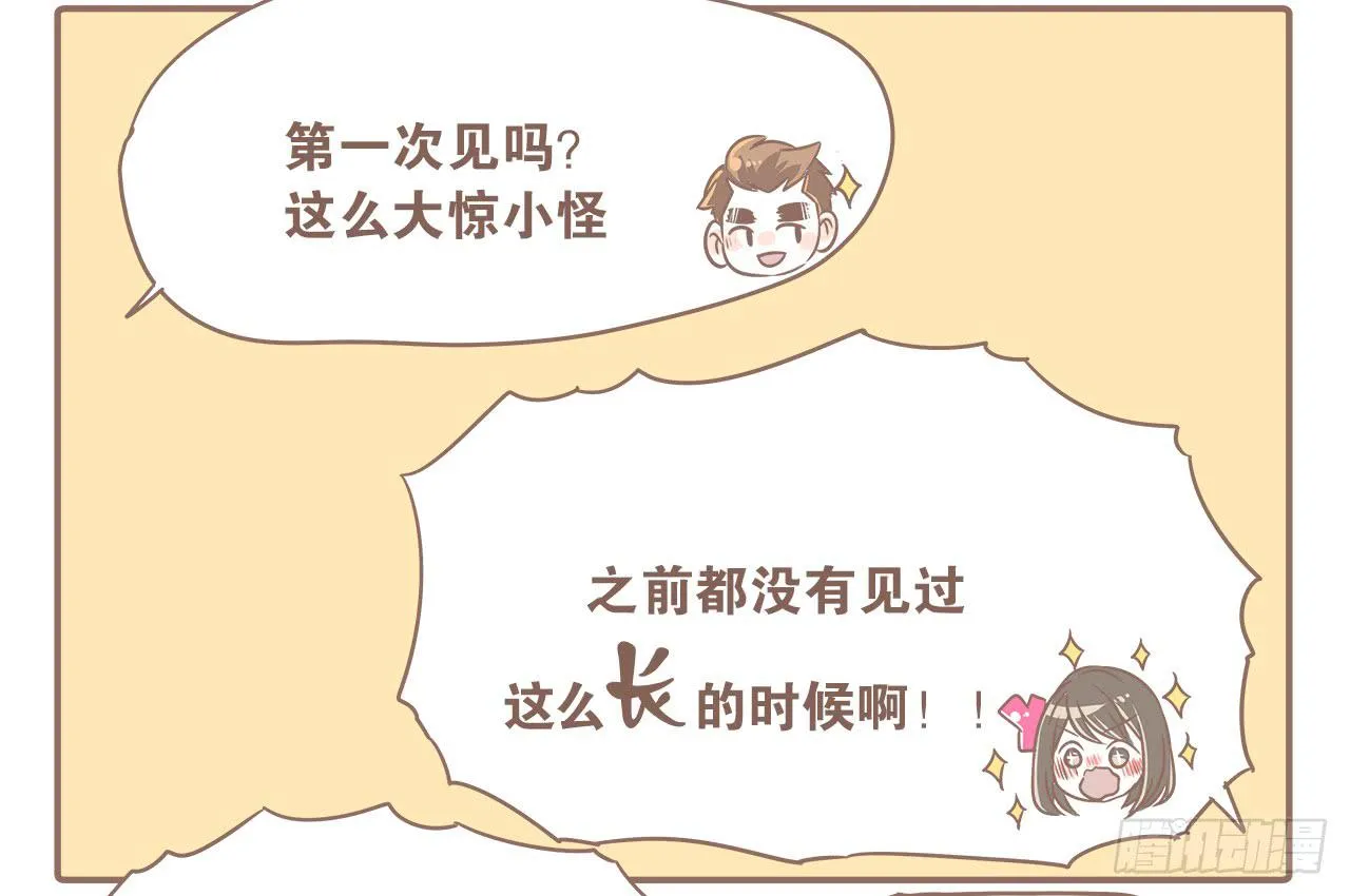 猫奴的生活 第16页