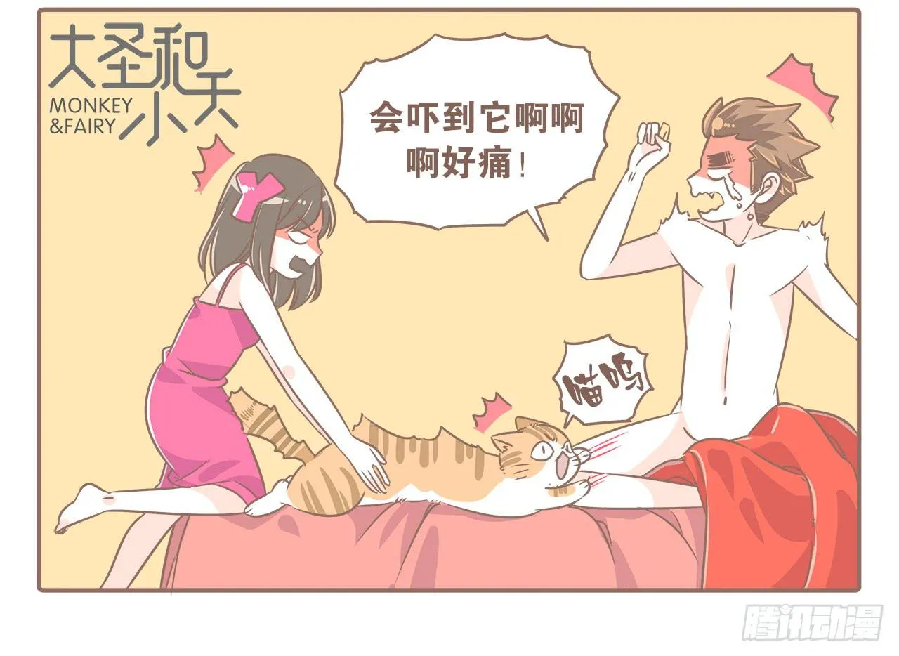 猫奴的生活 第18页