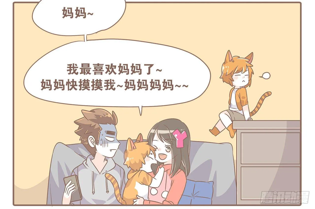 特别篇：家有俩猫 第6页
