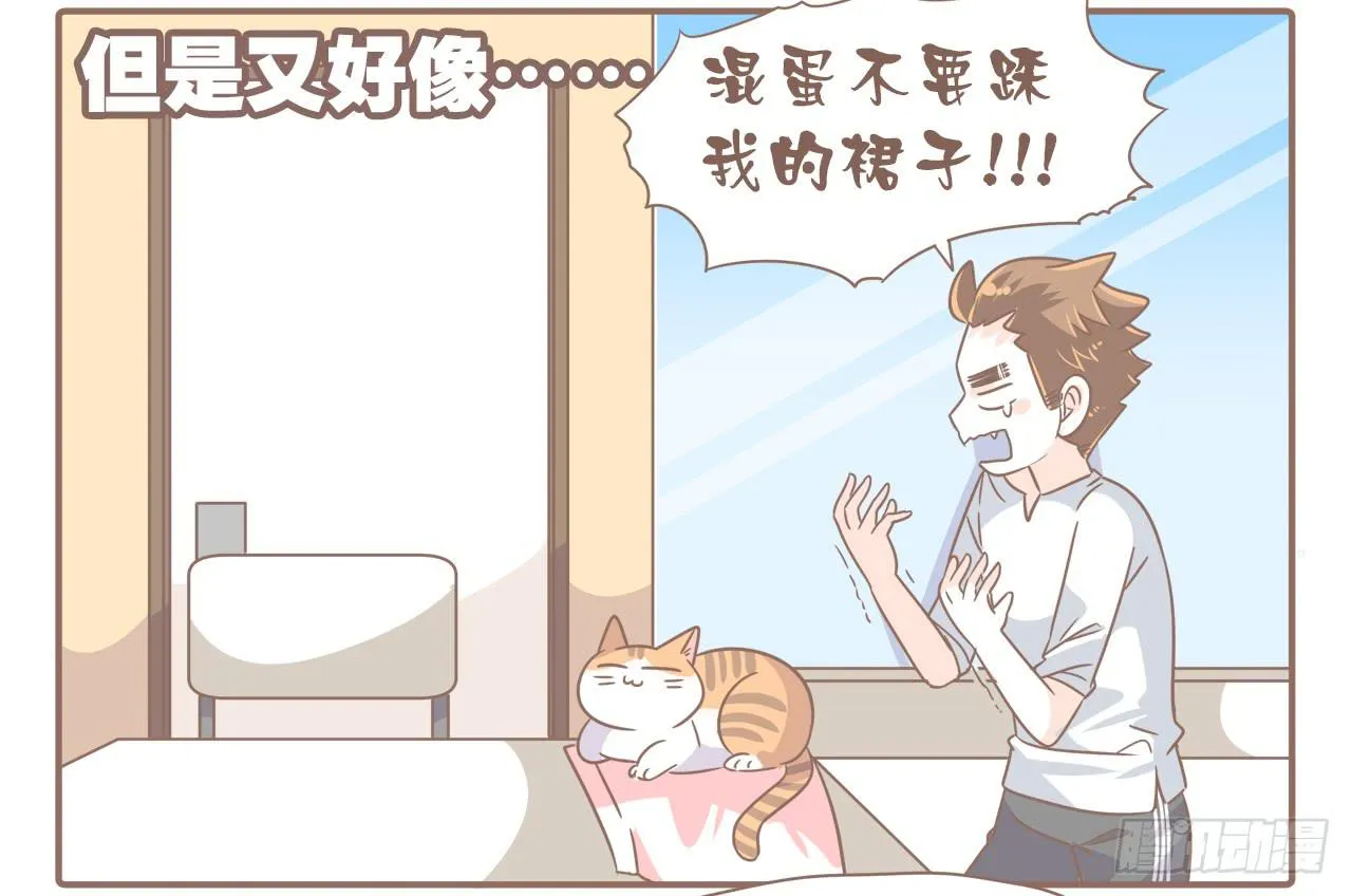 今年夏天，猴又变了 第19页