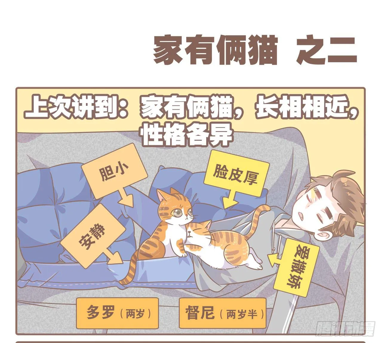家有俩猫 之二 第2页