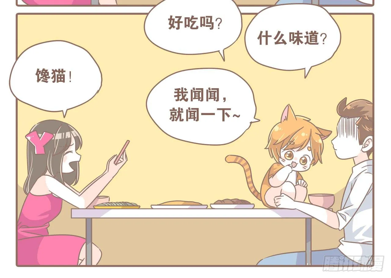 家有俩猫 之二 第10页