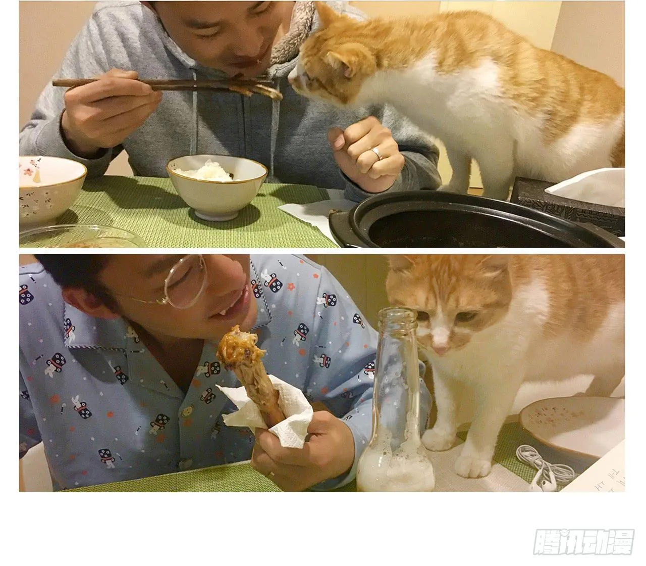 家有俩猫 之二 第17页