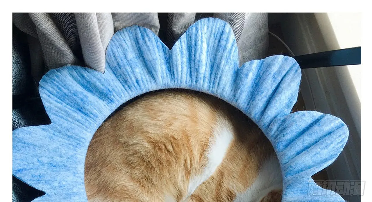 家有俩猫 之二 第19页