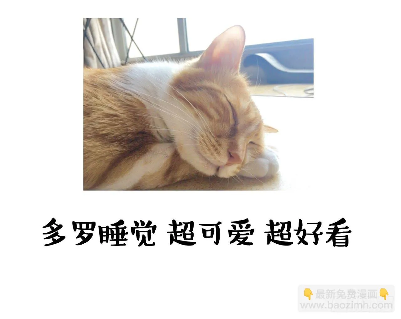 家有俩猫 之二 第21页