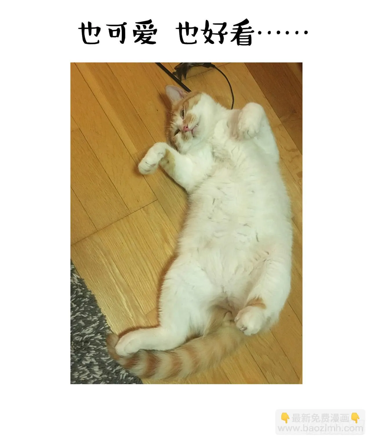 家有俩猫 之二 第23页