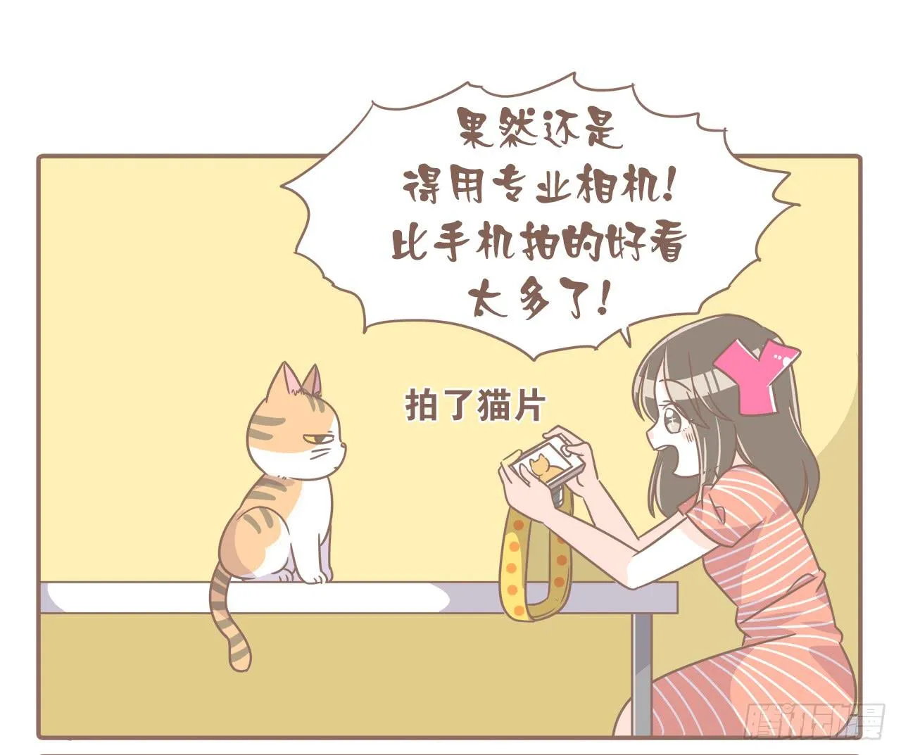 新发现 第5页