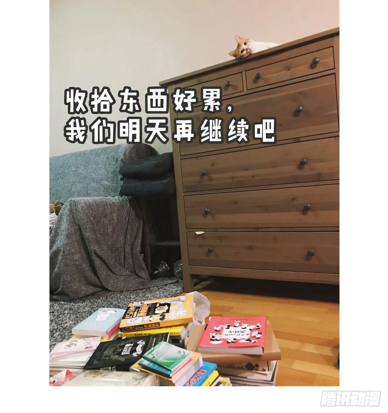搬家了！ 第37页